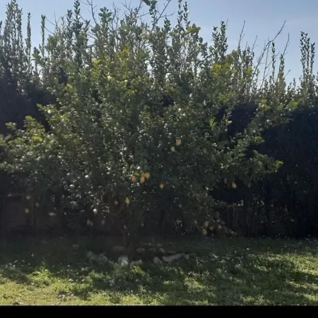 Apartmán Casetta Del Ciliegio Cappuccini di Riano